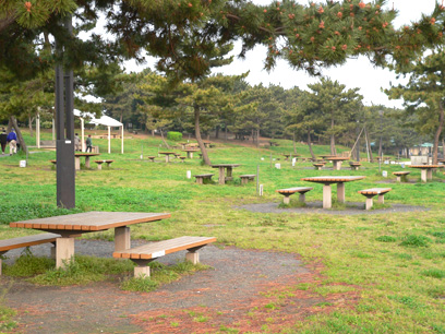 潮干狩りを楽しめる海の公園 金沢八景 横浜海の公園で童心にかえり 潮干狩りデート 横浜 鎌倉 湘南 箱根 デート観光おすすめ 穴場スポット