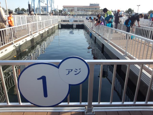 横浜八景島シーパラダイスのアクアリゾーツ 自分で釣って食べられる うみファーム で横浜デートを楽しもう 横浜 鎌倉 湘南 箱根 デート観光おすすめ 穴場スポット