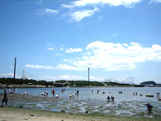 潮干狩りを楽しめる海の公園 金沢八景 横浜海の公園で童心にかえり 潮干狩りデート 横浜 鎌倉 湘南 箱根 デート観光おすすめ 穴場スポット